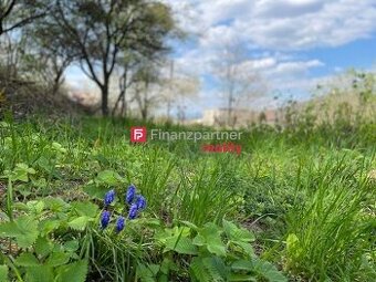 Zlatistý rekreačný pozemok v Prešove vo finále za vynikajúcu