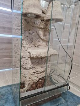 Terarium