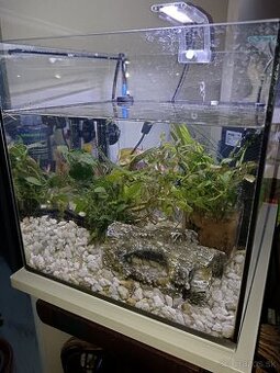 Akvárium 30L