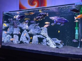 200 L Akvarium s príslušenstvom