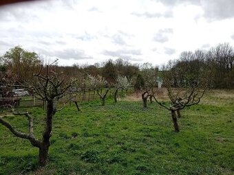 Kosenie a úprava záhrad (aj zanedbaných)