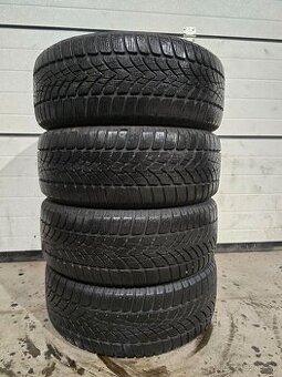 Zimné Pneu Dunlop 205/55 R16