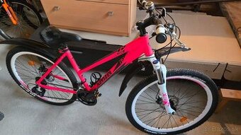 Kenzel Apolis Shade Damsky 27"