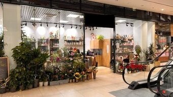 Na prenájom obchodný priestor 38m2 - Banská Bystrica/centrum