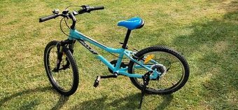 Detský bicykel Amulet Team 20"