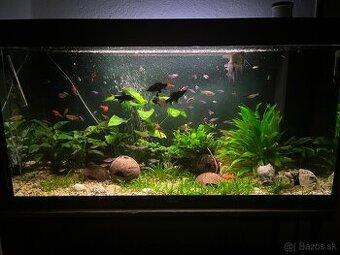 Predám Juwel Rio 350