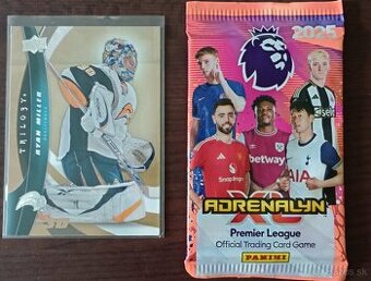 Predám hokejové kartičky LOT 53 ks + balíček