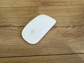 Apple Magic Mouse (1. Gen)