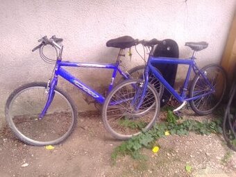 Bicykle