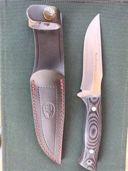 Muela pointer - 1