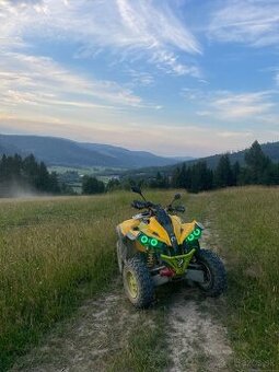 Can am renegade 800