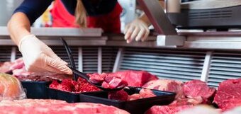 PRACA V HOLANDSKU TPP, brigada