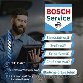 Automechanik-Bosch CAR Service