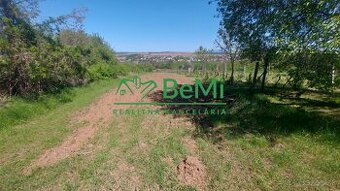 Predaj pozemok  vo vinici, 1000m2, Nitra-Golianovo(214-14-JU
