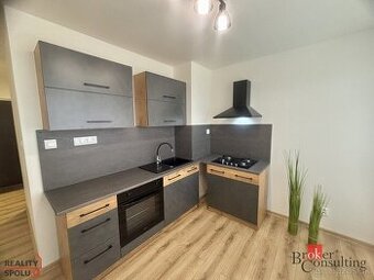 Na prenájom: Moderný 1-izbový byt po rekonštrukcii – Žiar na
