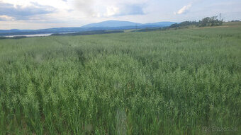 polnohospodarska poda