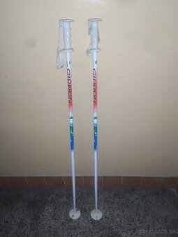 Lyžiarske palice 125cm