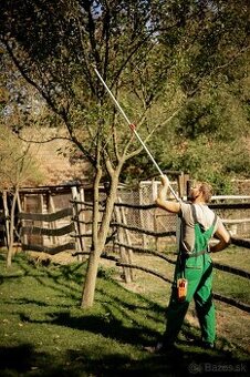 Odborný rez ovocných stromov