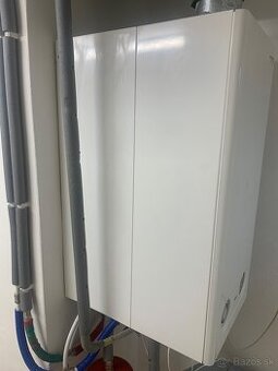 Plynový Kotol Protherm Tiger