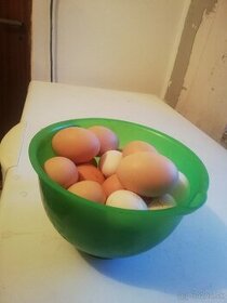 Domáce vajíčka, vajcia