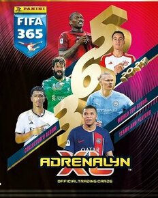 FIFA 365 XL 2024 kartičky