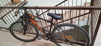 CTM Rein 1.0