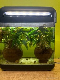 Predám akvárium 242812cm