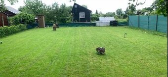 Zahrada v ZO Sĺňava (Drahovská Hať) PIEŠŤANY - 400m2