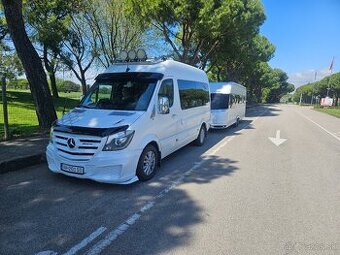 Sprinter 319