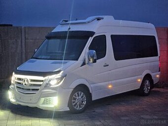 Sprinter 319