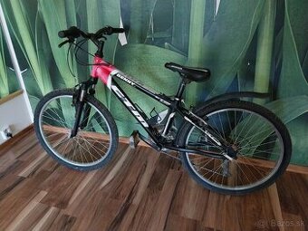 Bicykel 24 palcov