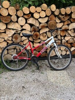 Dámsky bicykel