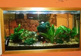 Predám akvárium s príslišenstvom