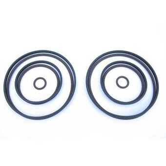 BMW M52tu/M54 Vanos opravná sada