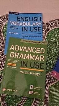 Predam vocabulary a grammar knihy