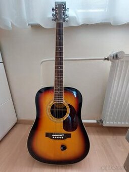 Gitara zn. Face DG26SB