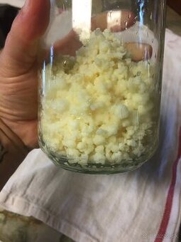 Keírové zrná  / Tibetská huba