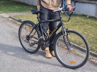 BICYKEL ALPINA