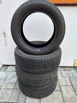 Zimné gumy Semprit 205/55 R16