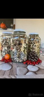 Sušené dubáky z Polonín