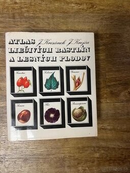 Atlas liecivich rastlin a lesných plodov