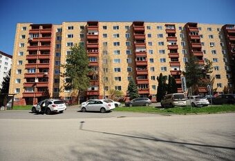 Pekný 3 izbový byt po rekonštrukcii na predaj