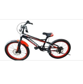 Bicykel 20