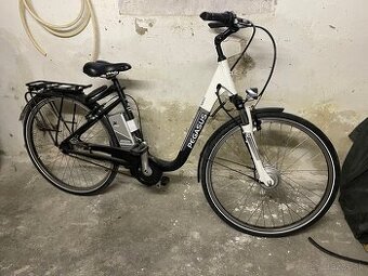 Pegasus e bike