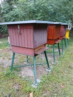 Včeli