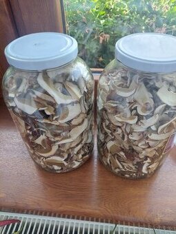 Predám sušené  dubaky