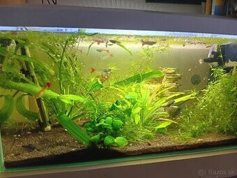 Predám zabehnute akvarium