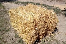 Predám slamu, slama
