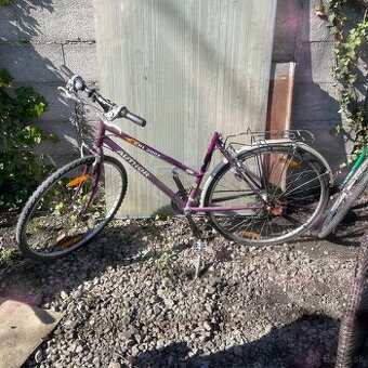 dámske bicykle