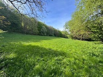 Predám lúku na Viničke (Kúpeľná ulica) Revúca